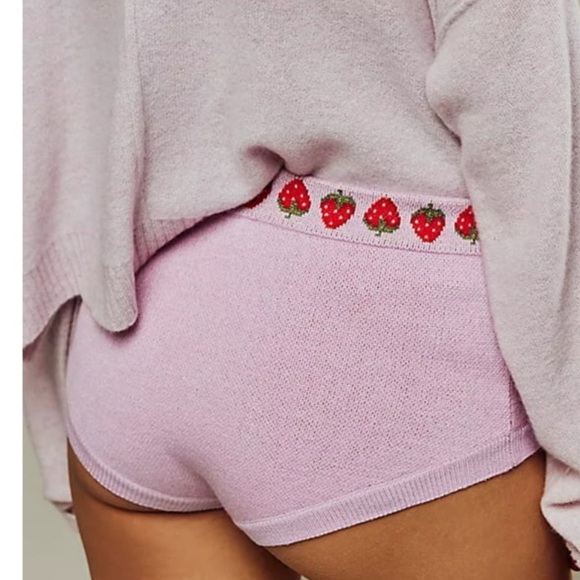 Free People Strawberry Embroidered Lilac Knit panty brief  size small - Picture 4 of 11